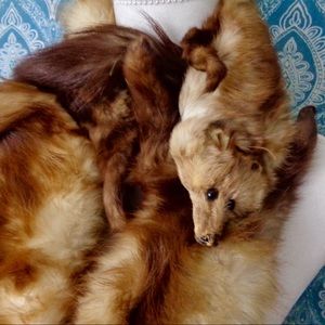 SALE!!!🎁 Fox Fur Scarf. Made by Three Full Foxes